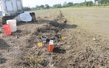 Đồng Tháp: Điều tra hai vụ giăng bẫy điện diệt chuột làm chết người