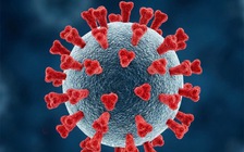 Theo dõi các biến thể Covid-19