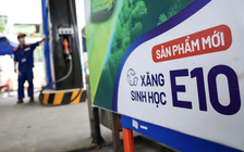 Xăng E10 'dùng được, chưa ghi nhận sự cố'