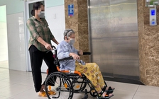 Nghề nuôi bệnh: Đừng đào tạo theo kiểu 'cưỡi ngựa xem hoa'