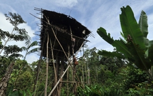 Trong cõi không ở nơi tận cùng thế giới 