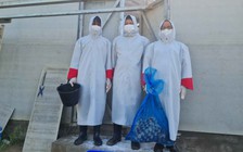 'Bảo mẫu' của sếu đầu đỏ