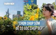 'Giải mã' vườn hoa hướng dương ven sông Sài Gòn: Lý do nô nức chụp ảnh sớm đầu năm