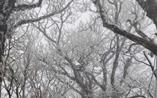 Miền Bắc rét đậm, rét hại, Hà Nội rét 9 độ C