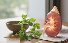 Thận yếu: Uống nước rau mùi tây liệu có tốt?