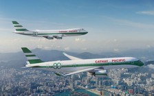 Sơn máy bay hình lá xà lách kẹp ăn mừng sinh nhật 80 tuổi