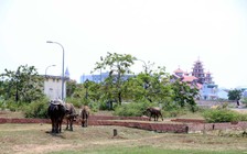 Hết thời bất động sản 'treo đầu dê, bán thịt chó'