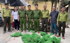 22 con chồn hương bị bỏ trên chiếc vỏ lãi