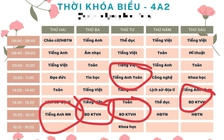 Cấm ép học sinh học môn liên kết với nước ngoài dưới mọi hình thức