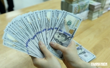 Giá USD hôm nay 12.10.2026: Đứng yên dù euro và yen Nhật tiếp tục đi lùi