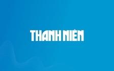 Cả cây nây buồng