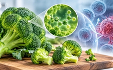 Bông cải xanh: Hấp hay luộc tốt hơn để giữ chất có tiềm năng chống ung thư?