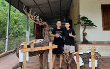 Sáng tạo độc đáo từ gỗ lũa