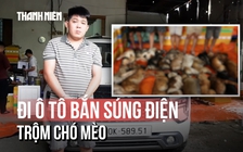 Đi ô tô vác súng kích điện 'săn' trộm chó: Lộ diện bà trùm tuồn 10 tấn thịt ra thị trường