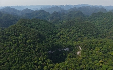 Phát hiện hố sụt lớn, sâu 120 m ở rừng Phong Nha - Kẻ Bàng