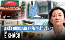 Không ai tham gia đấu giá, bất động sản của Trương Mỹ Lan tiếp tục 'bất động'