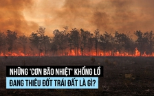 Nhiều 'cơn bão nhiệt' khổng lồ đang thiêu đốt trái đất, vì sao?