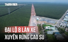 Cận cảnh đại lộ 8 làn xe xuyên rừng cao su kết nối sân bay Long Thành