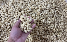Xuất khẩu nhiều nhất thế giới, vì sao ngành điều Việt Nam vẫn bị ép giá?