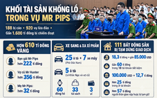 Vụ án Mr Pips: 'Kho vàng' 610 tỉ, cả trăm siêu xe, đồng hồ, túi xách xa xỉ 