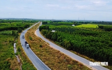 Vận động người dân TP.HCM nhận tiền và giao mặt bằng các công trình trọng điểm