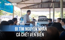 Lập đoàn kiểm tra, tìm nguyên nhân cá chết bất thường ven biển Quảng Trị