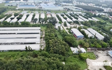 Toàn cảnh trang trại gà của Công ty Ba Huân bị ngân hàng rao bán