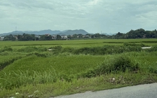 Sẽ quy định rõ tiêu chí 'đất bỏ hoang' để làm căn cứ đánh thuế cao