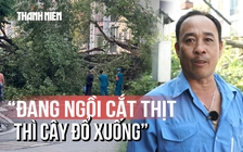 Lời kể khoảnh khắc cây lớn đổ ngang đường: 'Tôi bỏ chạy, khoảng 3 - 4 giây là cây ngã xuống'