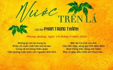 'Bươi trăng trên động cát mềm'…