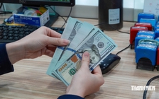 Lãi suất tiền đồng và giá USD liên ngân hàng liên tục giảm
