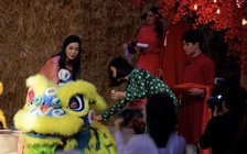 TP.HCM khai mạc Lễ hội Tết Việt Bính Ngọ