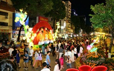 Cần Thơ: Đường hoa nghệ thuật dài hơn 300m mở cửa đón khách