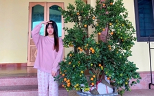 Valentine 'rơi' đúng dịp tết: Các chàng trai mua chậu quất tặng người yêu