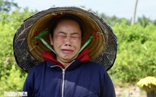 3 đời trồng hoa tết ở Chợ Lách: Sau mùa lỗ 200 triệu vẫn quyết gượng dậy