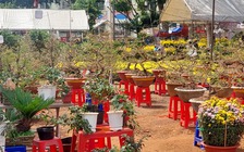 Giữ tết truyền thống qua chợ hoa xuân
