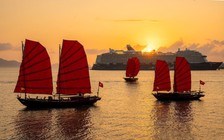 Rực rỡ ‘điểm hẹn du xuân’ bên vịnh Hạ Long