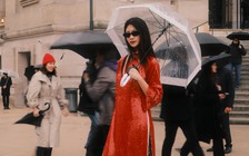 Áo dài Việt 'du xuân' quốc tế