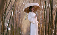 ‘Ngọc nữ’ tuổi ngọ thành công của showbiz Việt là ai?