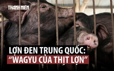 Bất ngờ loại 'Wagyu thịt lợn' lên ngôi tết này ở Trung Quốc