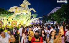 TP.HCM giao thừa 29 tết: Đông nghẹt người dân, du khách đổ về đường hoa Nguyễn Huệ