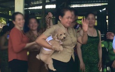 Vị khách 'không mời mà tới' ngày tết, chủ nhà phải nén cảm xúc