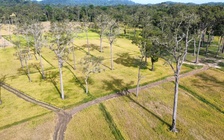 Cận cảnh những 'hố đen' - nguồn gốc hình thành 'cánh đồng châu Âu' ở Tà Lài