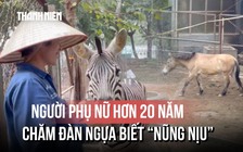 Người phụ nữ hơn 20 năm chăm đàn ngựa biết 'nũng nịu'