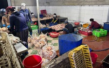 Phát hiện 10 tấn thịt gà không rõ nguồn gốc trong kho lạnh ở Khánh Hòa