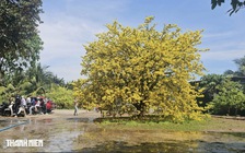 Nhiệt độ cao nhất Nam bộ hôm nay là 36,2 độ C, xuất hiện ở đâu?
