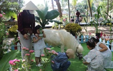 Ngựa lùn Pony thành 'ngôi sao', Trại rắn Đồng Tâm đông nghẹt khách xếp hàng chờ chụp ảnh