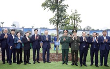 Trồng thêm một cây là gửi thêm niềm tin vào tương lai