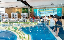 Kết hợp du xuân và tìm kiếm cơ hội đầu tư ở Cần Giờ