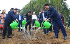 Chủ tịch nước Lương Cường: Tết trồng cây lan tỏa trách nhiệm bảo vệ môi trường